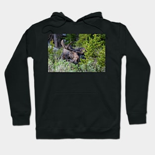 Smile for the Camera Hoodie